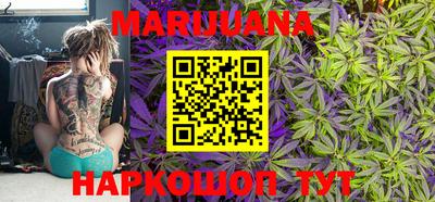 стаф Камышлов