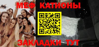 стафф Кингисепп