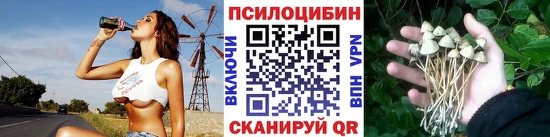 Псилоцибиновые грибы Psilocybine cubensis  дарк нет формула  Нововоронеж 